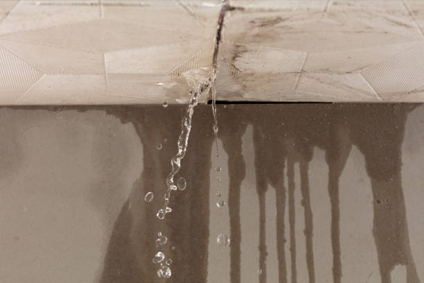 Professional Emergency Water Removal technician working in Davilla, TX